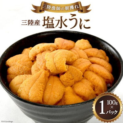 【期間限定発送】 うに 三陸産塩水うに 100g×1パック [村東商店 20564236]
