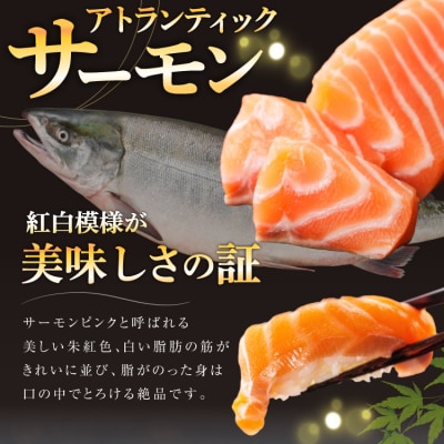 ノルウェー産 アトランティック サーモン 総重量 1kg (正味重量850g) 20565509 鮭