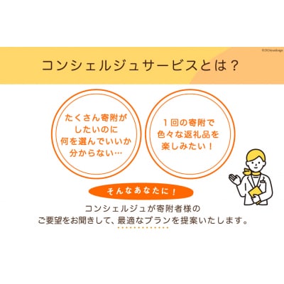 【あなただけの返礼品が届く】 コンシェルジュ サービス 寄附金額 50万円 [20561983]