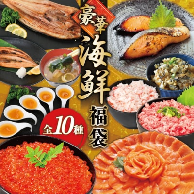 豪華 海鮮福袋 全10種 [カネダイ 宮城県 気仙沼市 20565836]