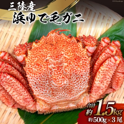 かに 三陸産浜ゆで毛ガニ 約500g×3