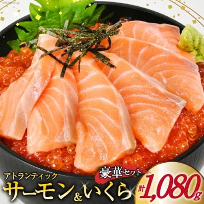 アトランティックサーモン 680g 味付いくら 400g セット合計1080g[20564347]