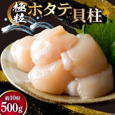 ホタテ 極粒 帆立貝柱 冷凍 (約500g/10粒前後)  20564003 