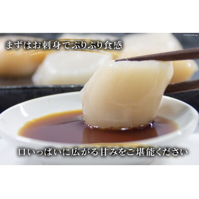 ホタテ 極粒 帆立貝柱 冷凍 (約500g/10粒前後)  20564003 