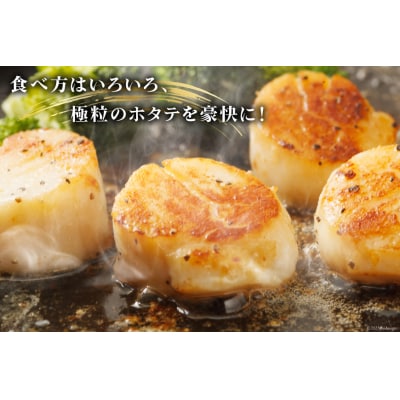 ホタテ 極粒 帆立貝柱 冷凍 (約500g/10粒前後)  20564003 