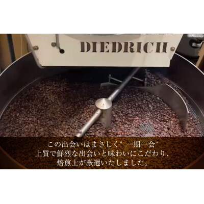 焙煎士おススメ コーヒー豆 セット 200g 3種 計600g [20565128]