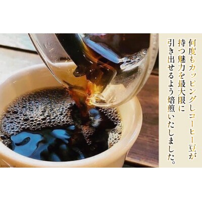 焙煎士おススメ コーヒー豆 セット 200g 3種 計600g [20565128]