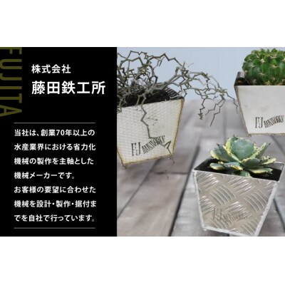 植木鉢 BOTANICAL POT ESP-M 1点 [藤田鉄工所 気仙沼市 20565004]
