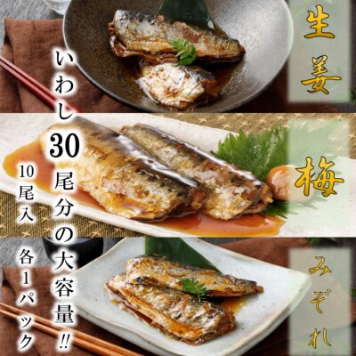 12回 定期便 訳あり 業務用 いわし煮魚 総重量 約18kg [気仙沼市 20565565] 