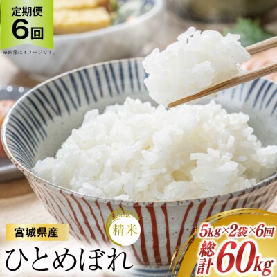 6回 定期便 米 ひとめぼれ 10kg (5kg ×2袋) 総計 60kg [20565602] 