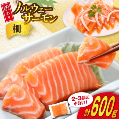 訳あり ノルウェー産 アトランティック サーモン 600g 柵 [20565614]