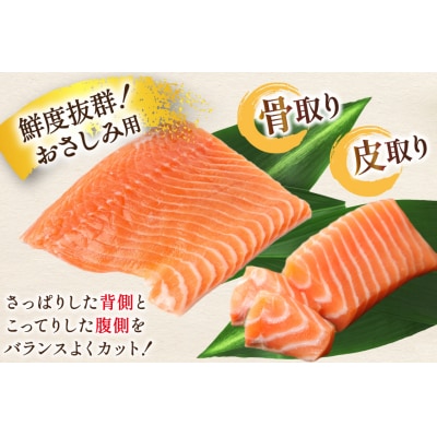 訳あり ノルウェー産 アトランティック サーモン 600g 柵 [20565614]