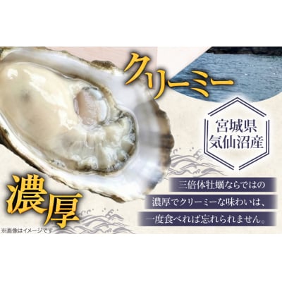 殻付き牡蠣 生食用 三倍体牡蠣 島乙女 約840g 12個入 [20565985]