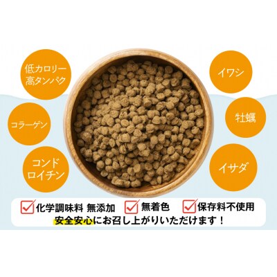 ドッグフード UMINO PET 総合栄養食 800g 2袋 [20566213] 