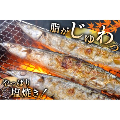 【期間限定発送】 生 さんま 15尾 [阿部長商店 宮城県 気仙沼市 20566342]
