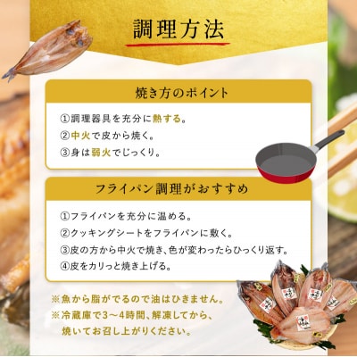 厳選 干物セット 希望の干し Aセット[No.5704-0180]