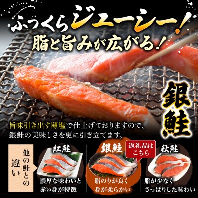 【3か月連続定期便】訳あり 銀鮭 切り身 1.4kg セット[No.5704-1809]