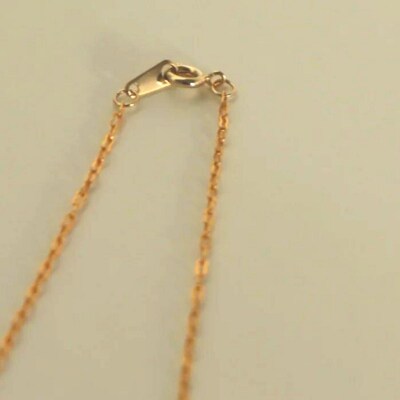 【LENERAオリジナルネックレス】legumes necklace / 14kgf(37cm)