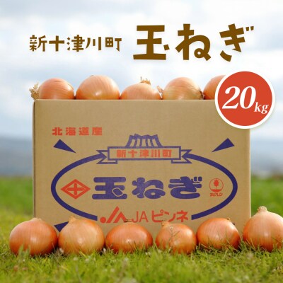 【先行受付】玉ねぎ Lサイズ(20kg)【令和8年10月～12月中旬発送】