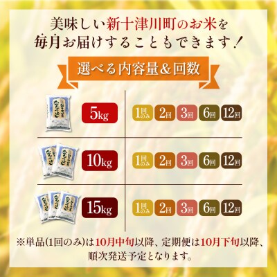 【令和8年度産】ななつぼし精米 食味ランキング「特A」(10kg)