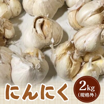 【先行受付】にんにく2kg(規格外)【令和8年8月～12月発送】