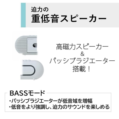 AUREX カセットプレイヤー USB TypeーC対応 AX-T10