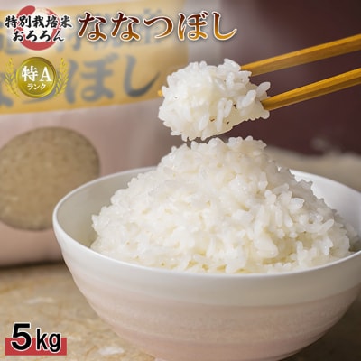 【2025年産】 北海道羽幌産 特別栽培米 ななつぼし5kg