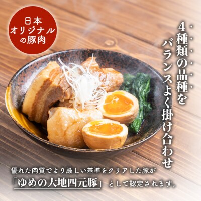 【北海道ブランド豚】「ゆめの大地」 豚バラブロック 1kg