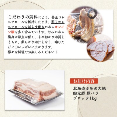 【北海道ブランド豚】「ゆめの大地」 豚バラブロック 1kg