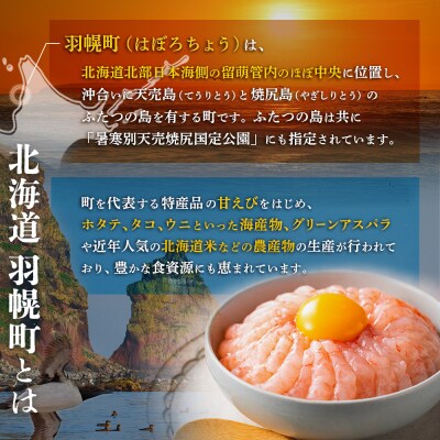 北海道羽幌町への応援寄付　返礼品なし　1口 1,000円