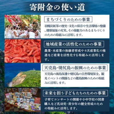 北海道羽幌町への応援寄付　返礼品なし　1口 1,000円