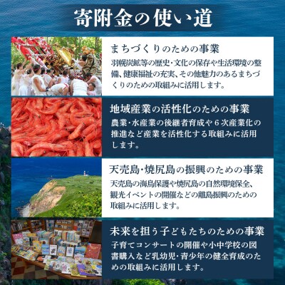 北海道羽幌町への応援寄付　返礼品なし　1口 2,000円