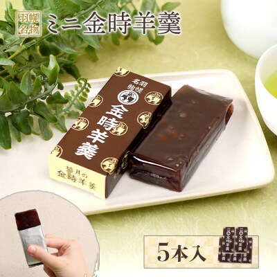 羽幌名物 ミニ金時羊羹5本入