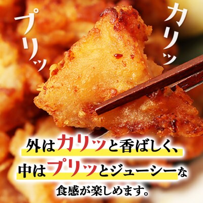 プリプリ触感が自慢 たこザンギ 計500g (タコの唐揚げ 250g×2)