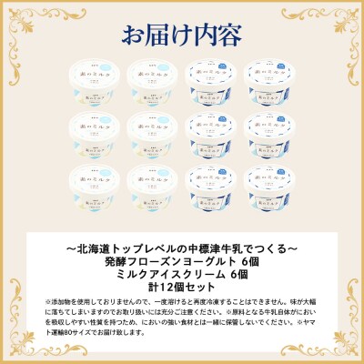 北海道 プレミアムミルクアイスクリーム×6個とフローズンヨーグルト×6個セット