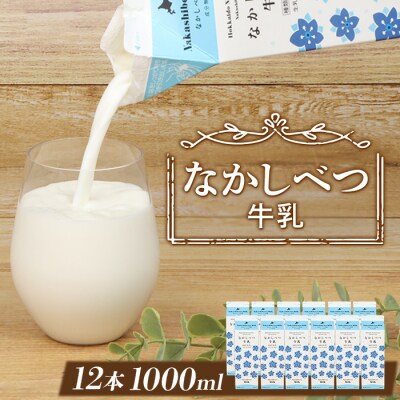 北海道なかしべつ牛乳 1L×12本