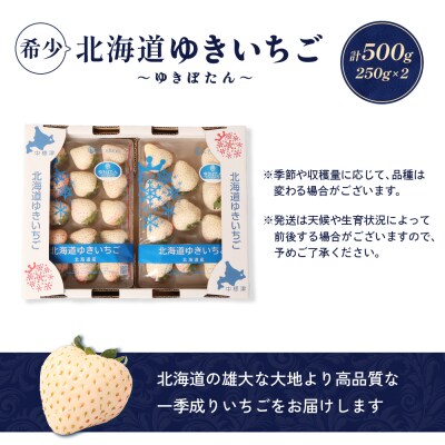 【北海道産】ゆきいちご(白いちご)2Pセット 250g×2