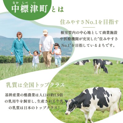 中標津町への応援寄附 1,000円(返礼品なし)