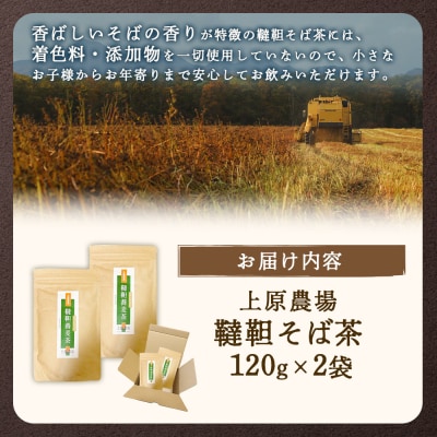 【無農薬栽培】上原農場　韃靼そば茶120g×2袋