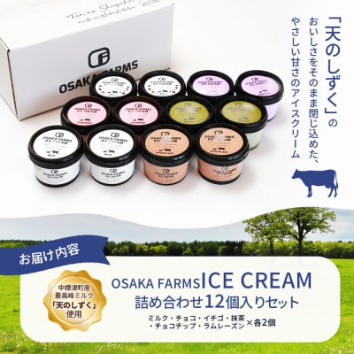 OSAKA FARMS ICE CREAM 詰め合わせ12個入りセット