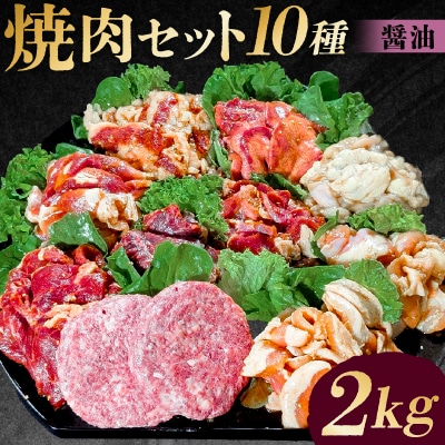 焼肉セット10種(醤油)【195010】