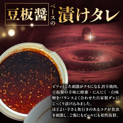焼肉セット10種(豆板醤)【195012】