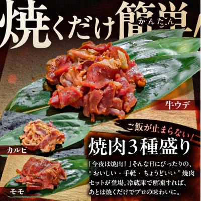 焼肉セット 3種 (醤油)【195016】