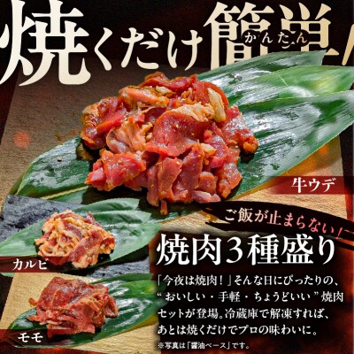 焼肉セット 3種 (味噌)【195017】