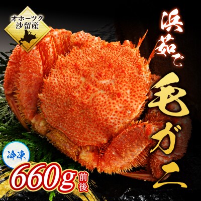 〔大きいサイズ 660g前後 〕冷凍浜茹で毛がに『1尾』
