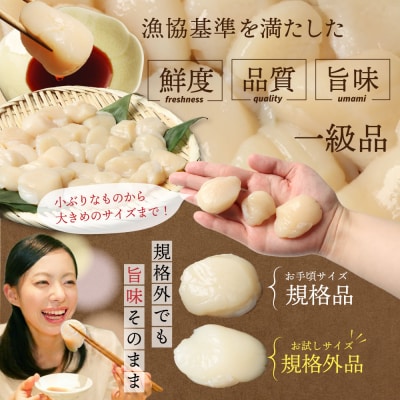 【お試しホタテ】オホーツク産ホタテ(500g×2袋)