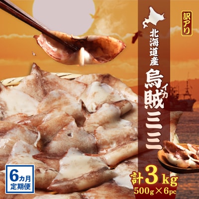 【ワケあり】イカミミ3kg (500g×6袋) 6ヶ月定期便