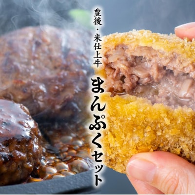 【スピード発送】 ハンバーグ メンチカツ セット (計10個) 豊後・米仕上牛 九州 惣菜