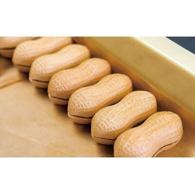 南蛮落花生チョコレートもなか(6個入)
