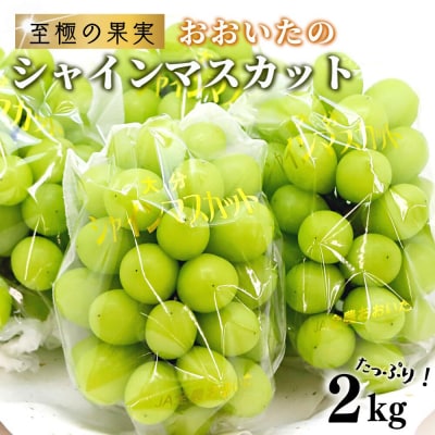 【ふるさと納税】《先行受付》至極の果実 シャインマスカット 2kg 大分県産 化粧箱入り 